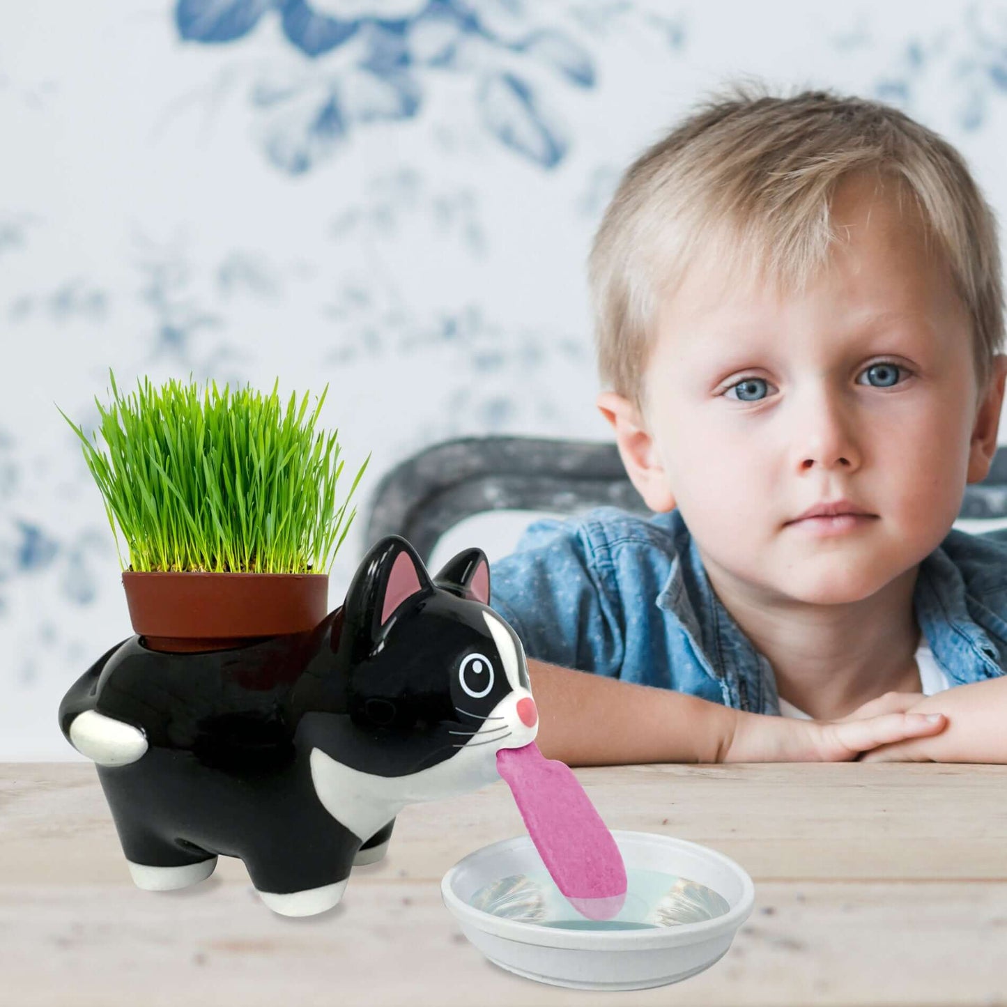 Enfant jouant avec le chat en céramique d'herbe à chat. Kit prêt à pousser pour activité ludique et éducative.
