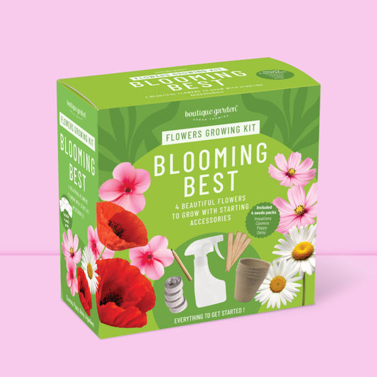 Packaging : Packaging coloré du kit de jardinage pour fleurs de Boutique Garden.