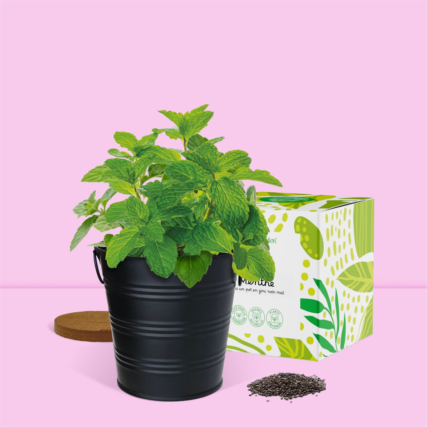 Kit jardinage prêt à pousser herbes aromatiques menthe Boutique Garden avec pot zinc noir mate déco et emballage décoratif cadeau