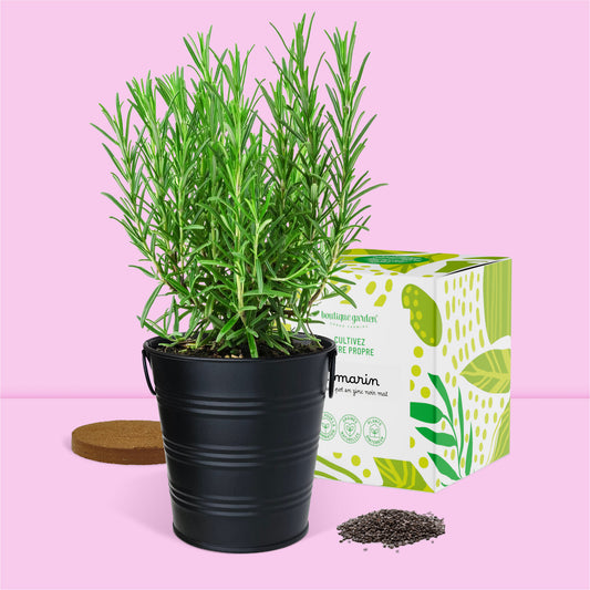 Kit jardinage prêt à pousser herbes aromatiques romarin Boutique Garden avec pot zinc noir mate déco et emballage décoratif cadeau