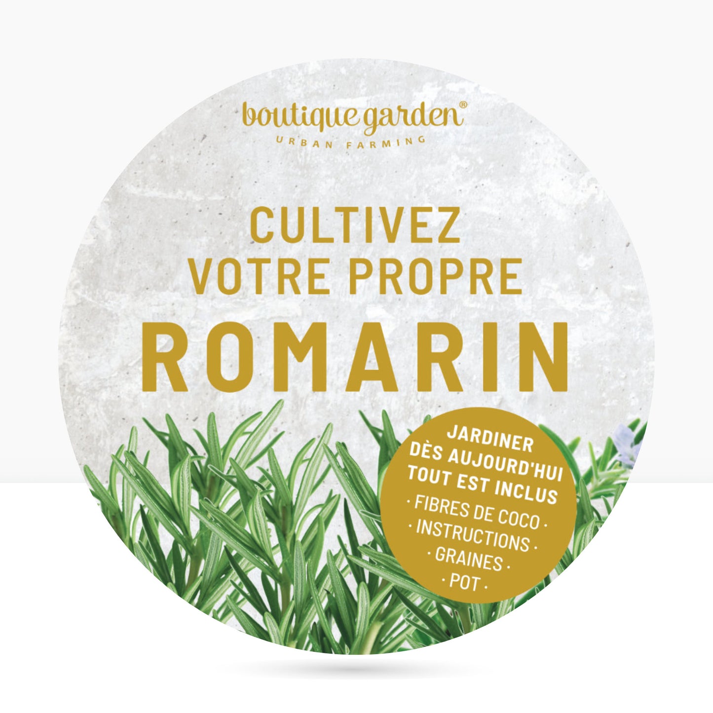 Kit prêt à pousser romarin, pot zinc noir mat