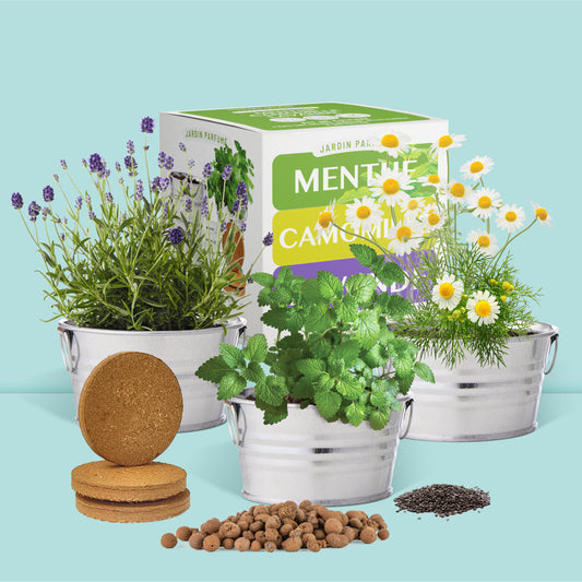 Kit jardinage prêt à pousser jardin parfumé avec pots, graines, substrat billes d'argile