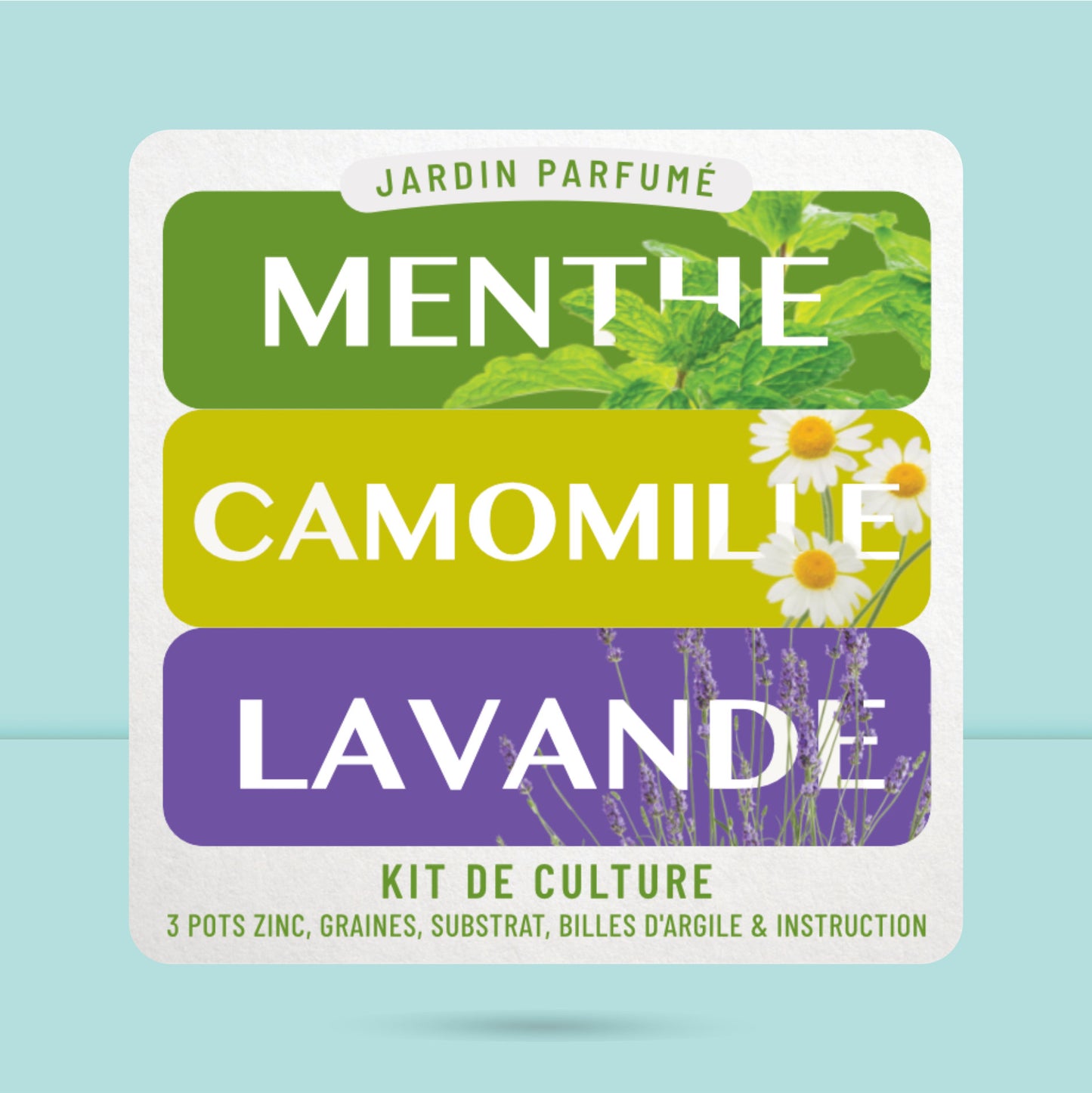 Coffret prêt à pousser jardin parfumé emballage cadeau décoratif