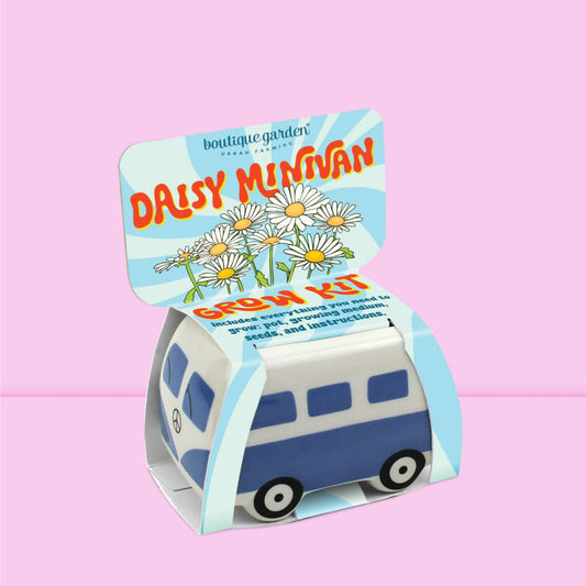 Kit Mini Van céramique prêt à pousser pâquerettes avec packaging coloré et motifs de fleurs.