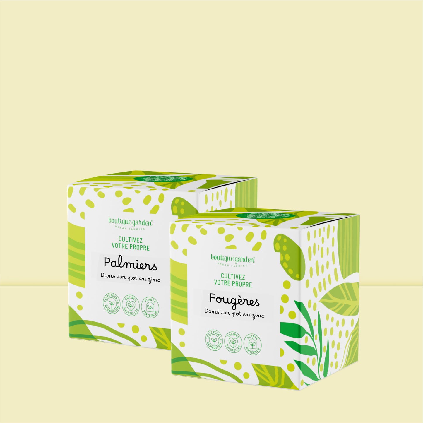 Kit déco plantes d’intérieur à faire pousser palmier et fougère