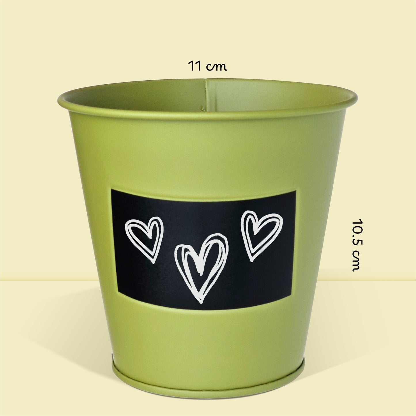 Pot zinc avec table noire et craie pour message, kit jardinage prêt à pousser plantes d'intérieur fougère