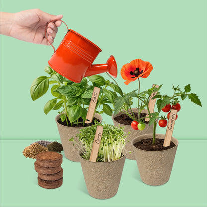 Kit my little garden