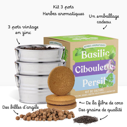 Kit prêt à pousser 3 pots zinc herbes aromatiques, basilic, ciboulette et persil