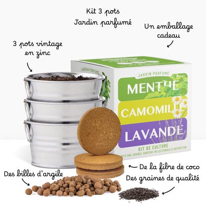 Kit prêt à pousser 3 pots zinc jardin parfumé, menthe, lavande et camomille