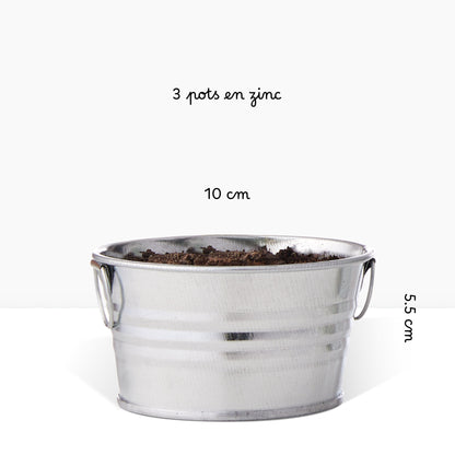 Kit prêt à pousser 3 pots zinc jardin parfumé, menthe, lavande et camomille