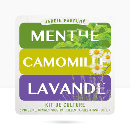 Kit prêt à pousser 3 pots zinc jardin parfumé, menthe, lavande et camomille