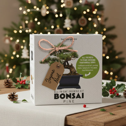 Maîtrisez l'Art du Bonsaï Japonais, Facilement