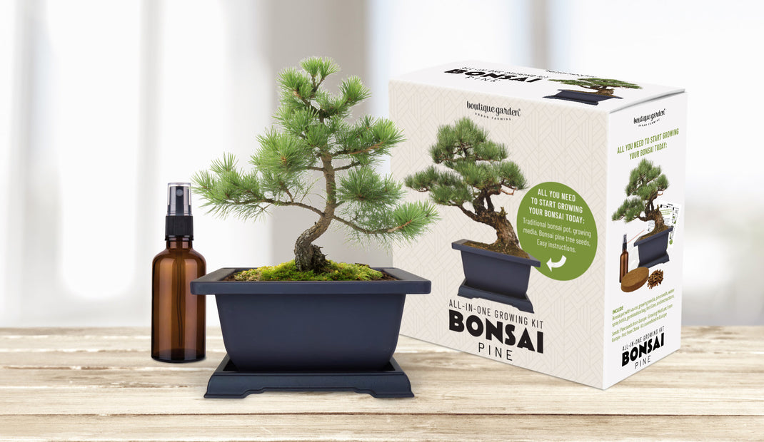 Kits jardinage prêts à pousser pour intérieur balcon et cuisine