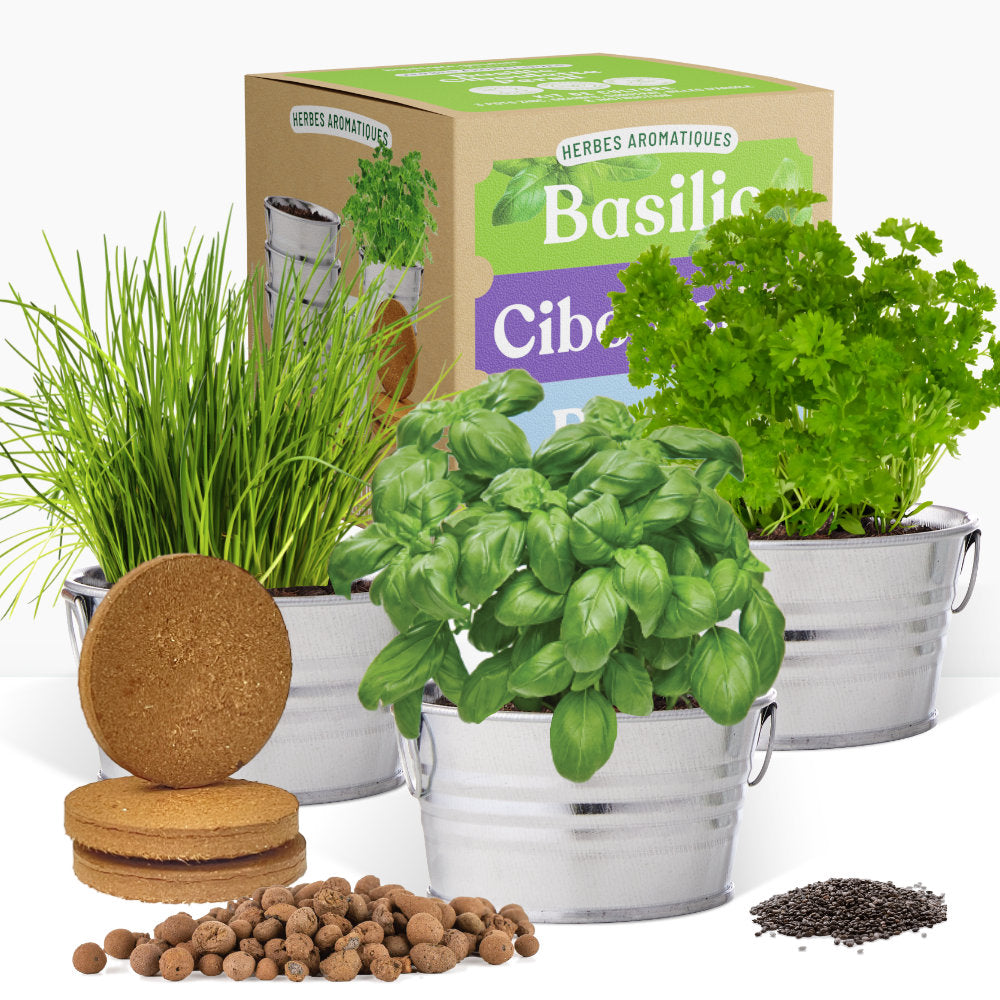 Kit prêt à pousser 3 pots zinc herbes aromatiques, basilic, ciboulette et persil