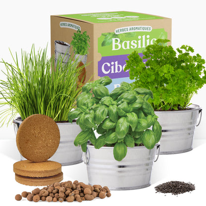 Kit prêt à pousser 3 pots zinc herbes aromatiques, basilic, ciboulette et persil