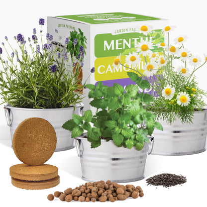 Kit prêt à pousser 3 pots zinc jardin parfumé, menthe, lavande et camomille