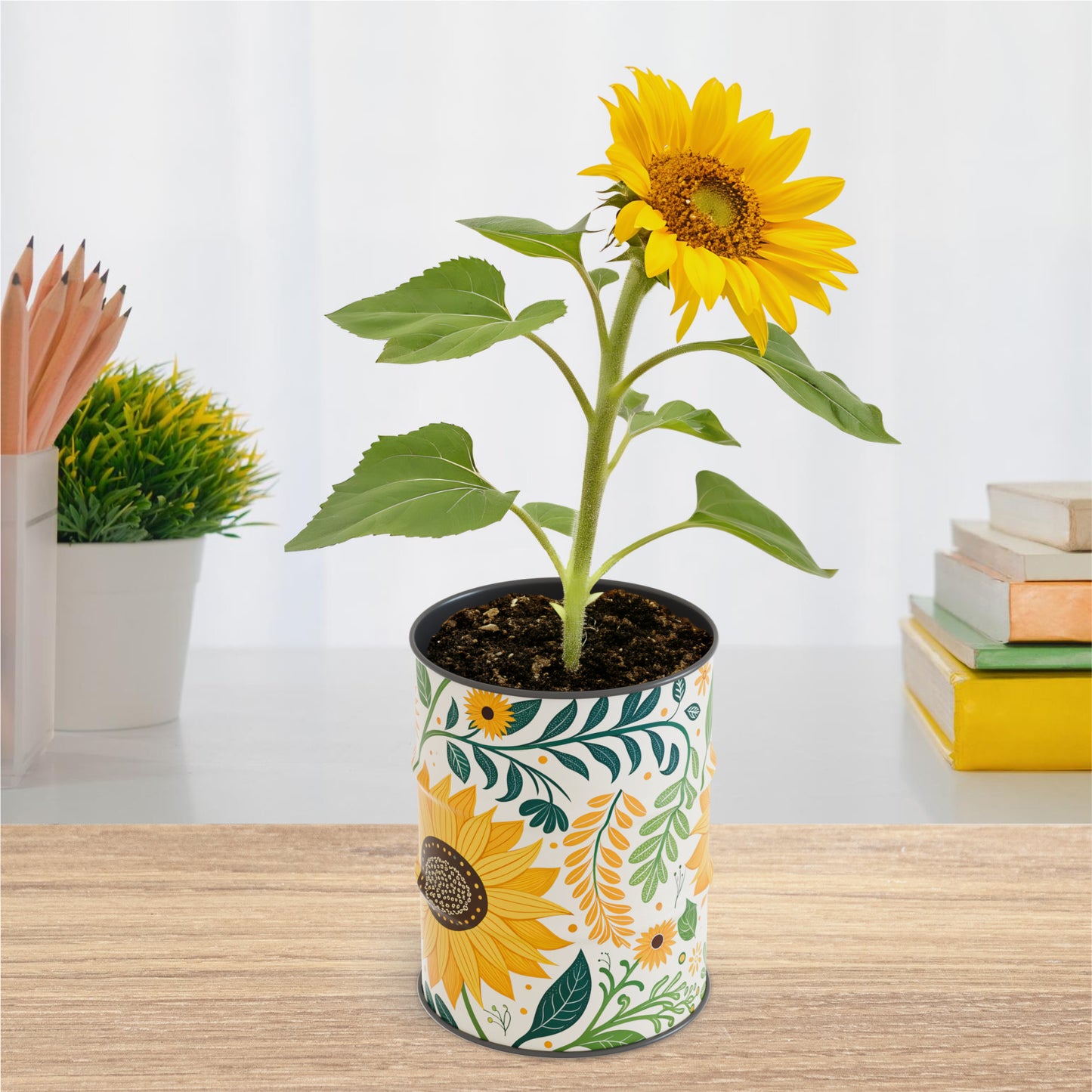 Tournesol en pot du kit 'prêt à pousser' servant de décoration végétale d'intérieur.