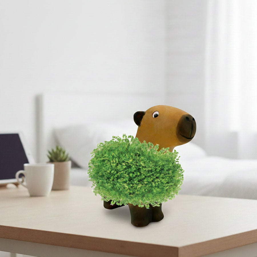 L'esprit zen du Capybara