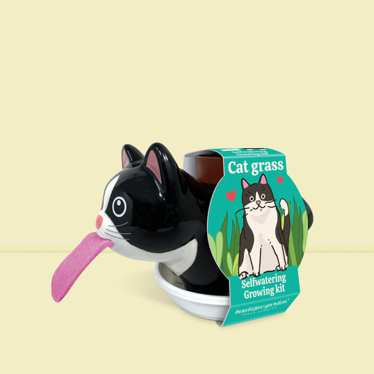 Kit Chat, l'herbe à chat 100% facile