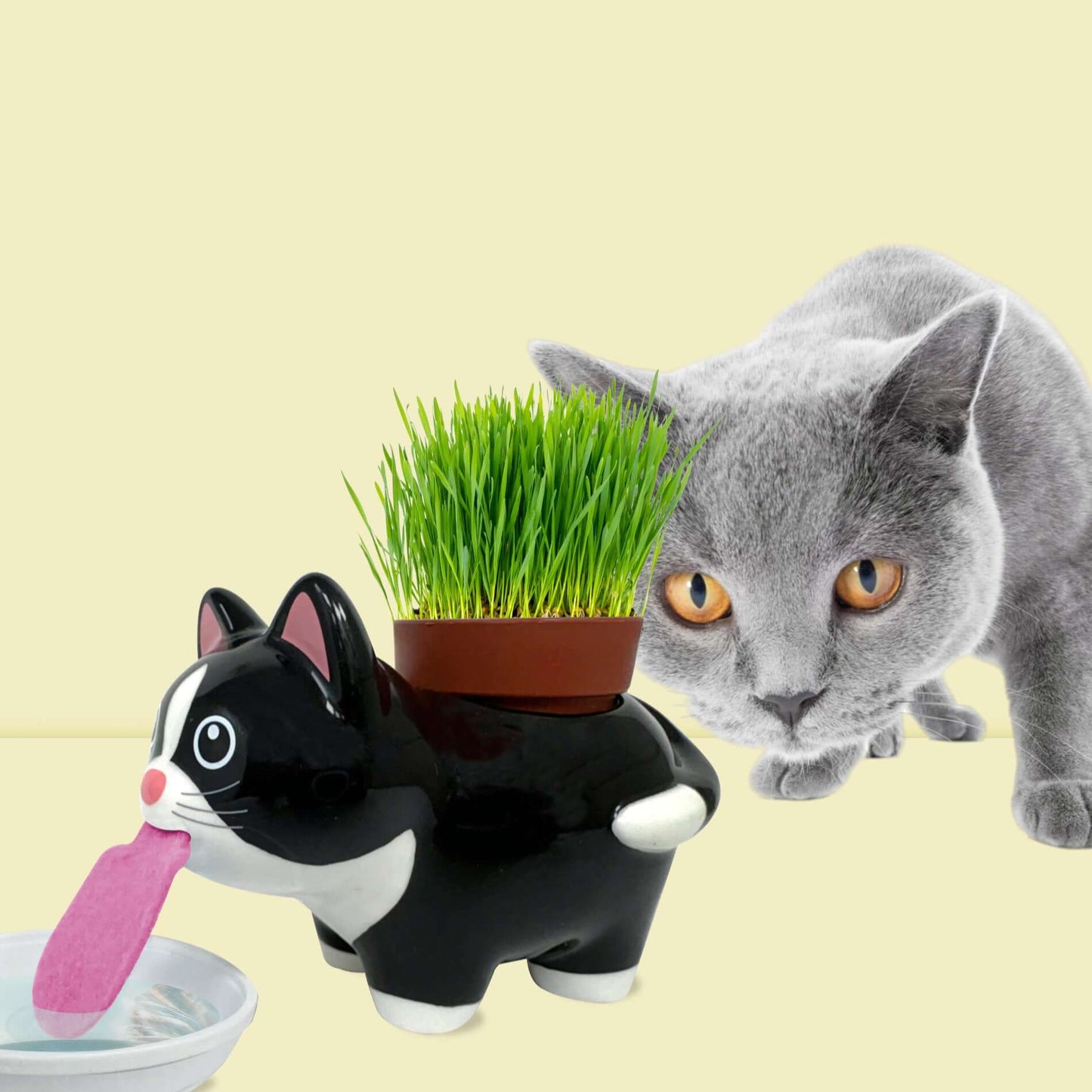 Chat en céramique arrosant les pousses d'herbe à chat sur un rebord de fenêtre. Idée cadeau pour amoureux des chats.