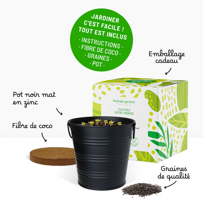 Kit prêt à pousser basilic, pot en zinc noir mat
