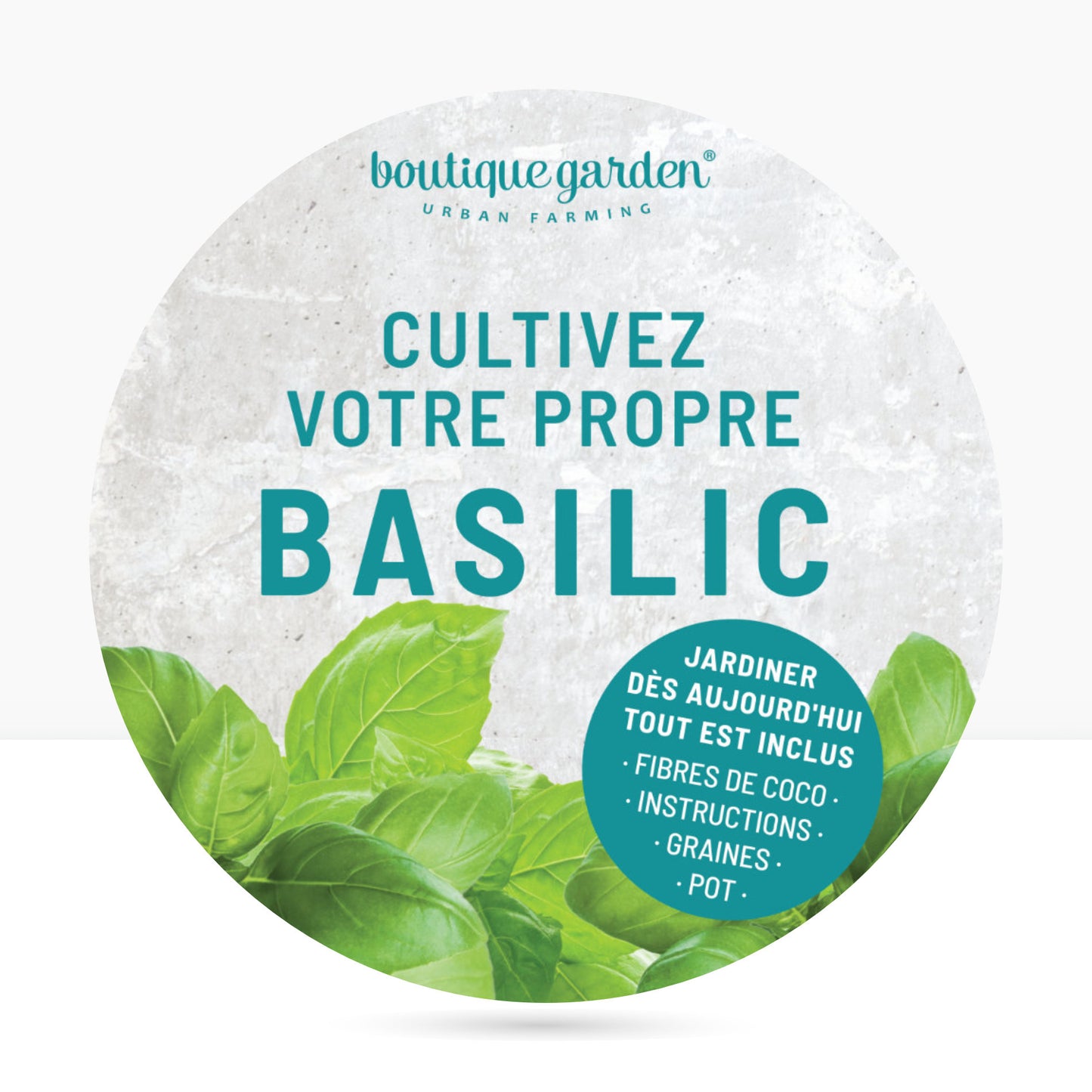 Kit prêt à pousser basilic, pot en zinc noir mat