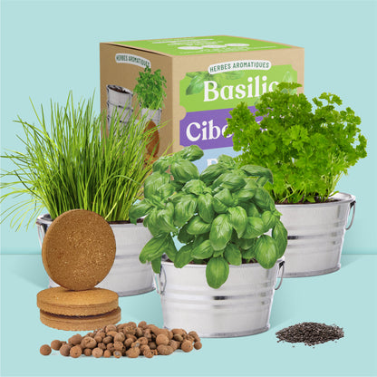 Pot prêt à pousser 3 pots zinc herbes aromatiques, basilic, ciboulette et persil