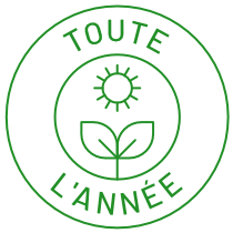 Toute l'année
