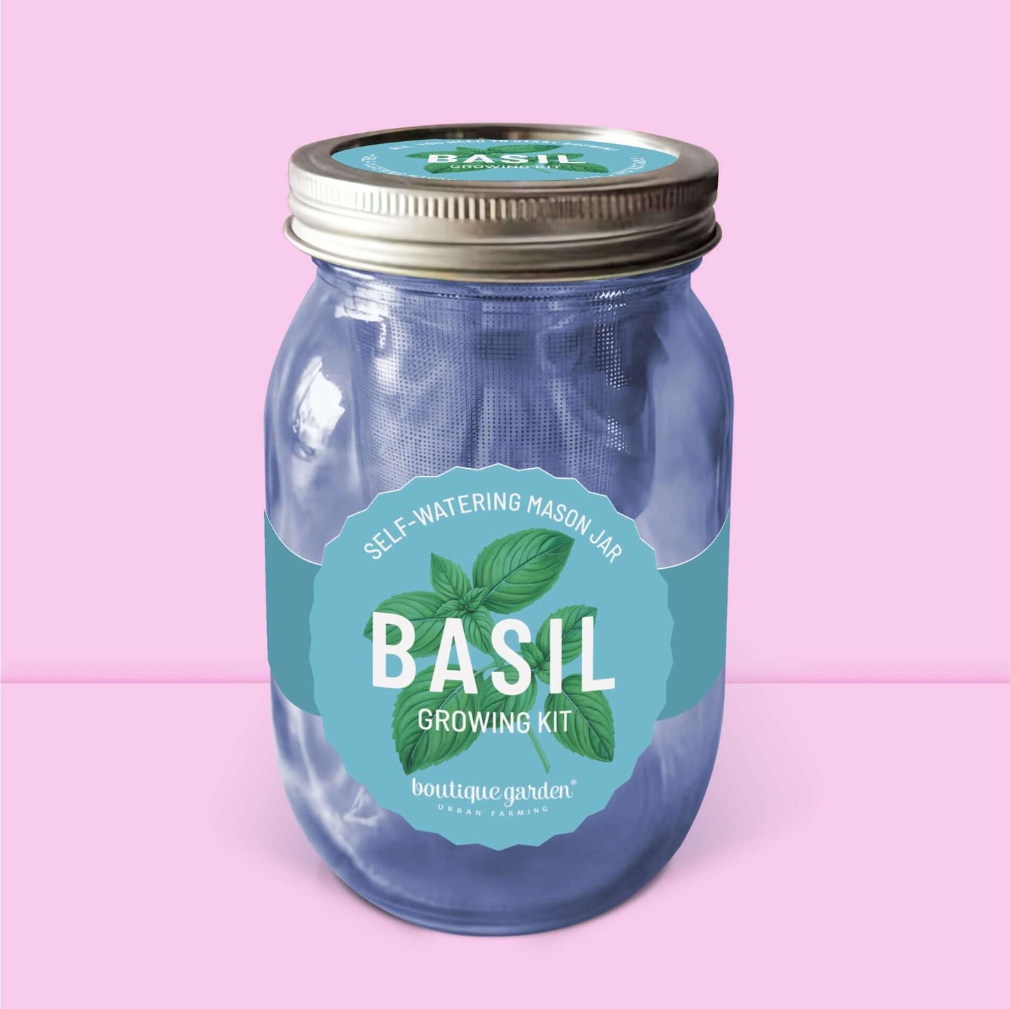 Kit de basilic frais en jarre en verre : arrosage automatique pour culture d'aromates en cuisine.