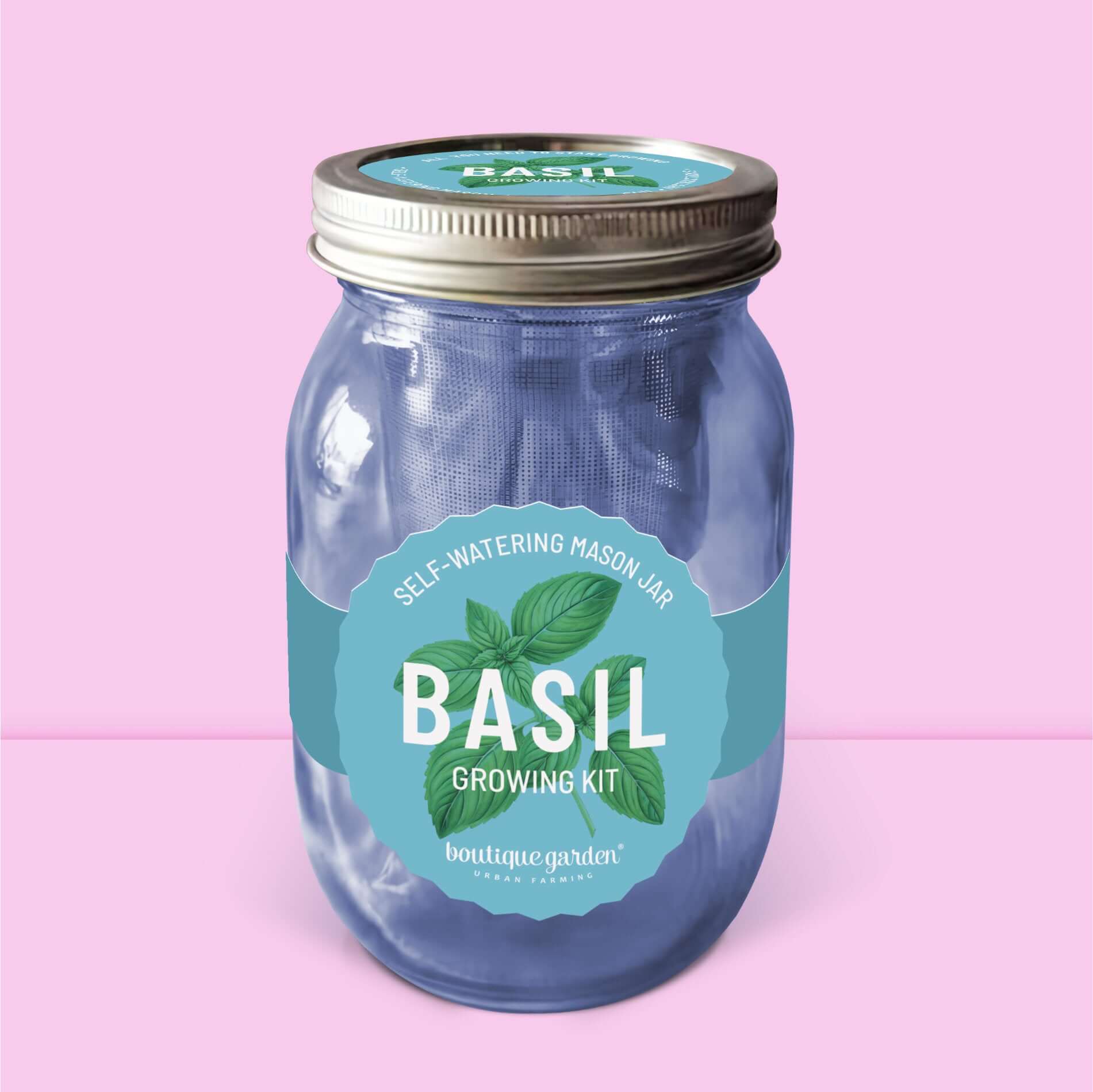 Kit de basilic frais en jarre en verre : arrosage automatique pour culture d'aromates en cuisine.