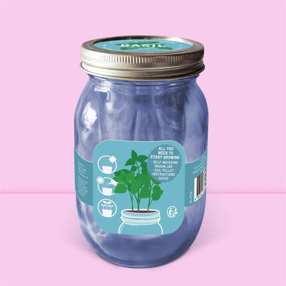 Dos du kit basilic autonome : notice d'utilisation pour jardinage facile et sans arrosoir.