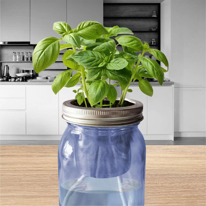 Jarre de basilic frais décorative sur plan de travail. Arrosage autonome idéal pour la déco cuisine chic.