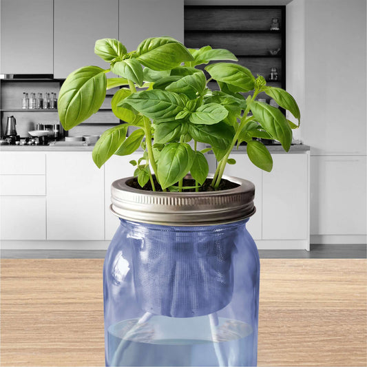 Jarre de basilic frais décorative sur plan de travail. Arrosage autonome idéal pour la déco cuisine chic.