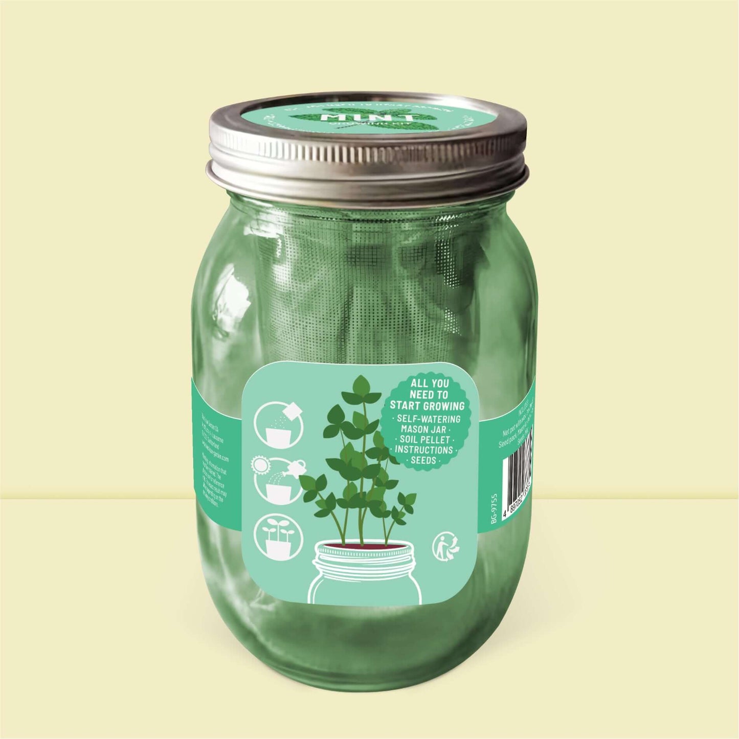 Dos du kit menthe autonome : instructions de jardinage facile pour culture d'intérieur.