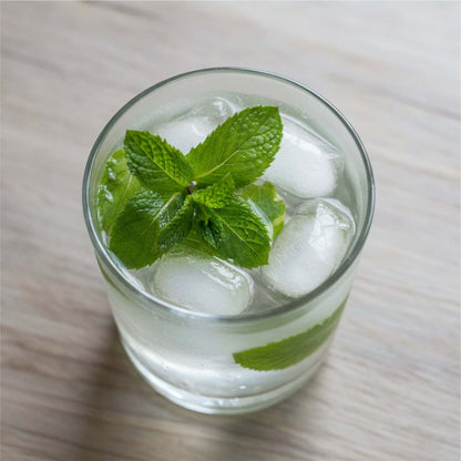Cocktail rafraîchissant (Mojito) décoré avec de la menthe fraîche cueillie maison.