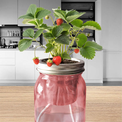 Jarre de fraises fraîches décorative sur un plan de travail de cuisine. Arrosage autonome pour déco gourmande.