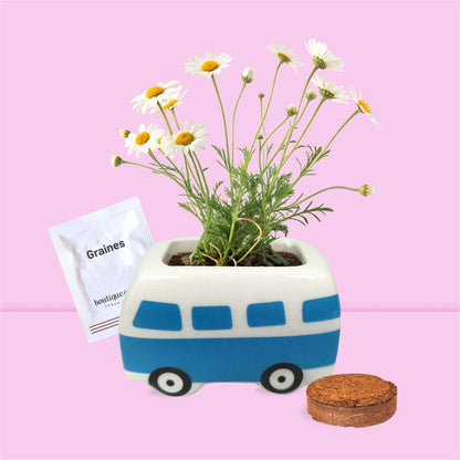 Mini van céramique kit prêt à pousser pâquerettes avec graines et substrat