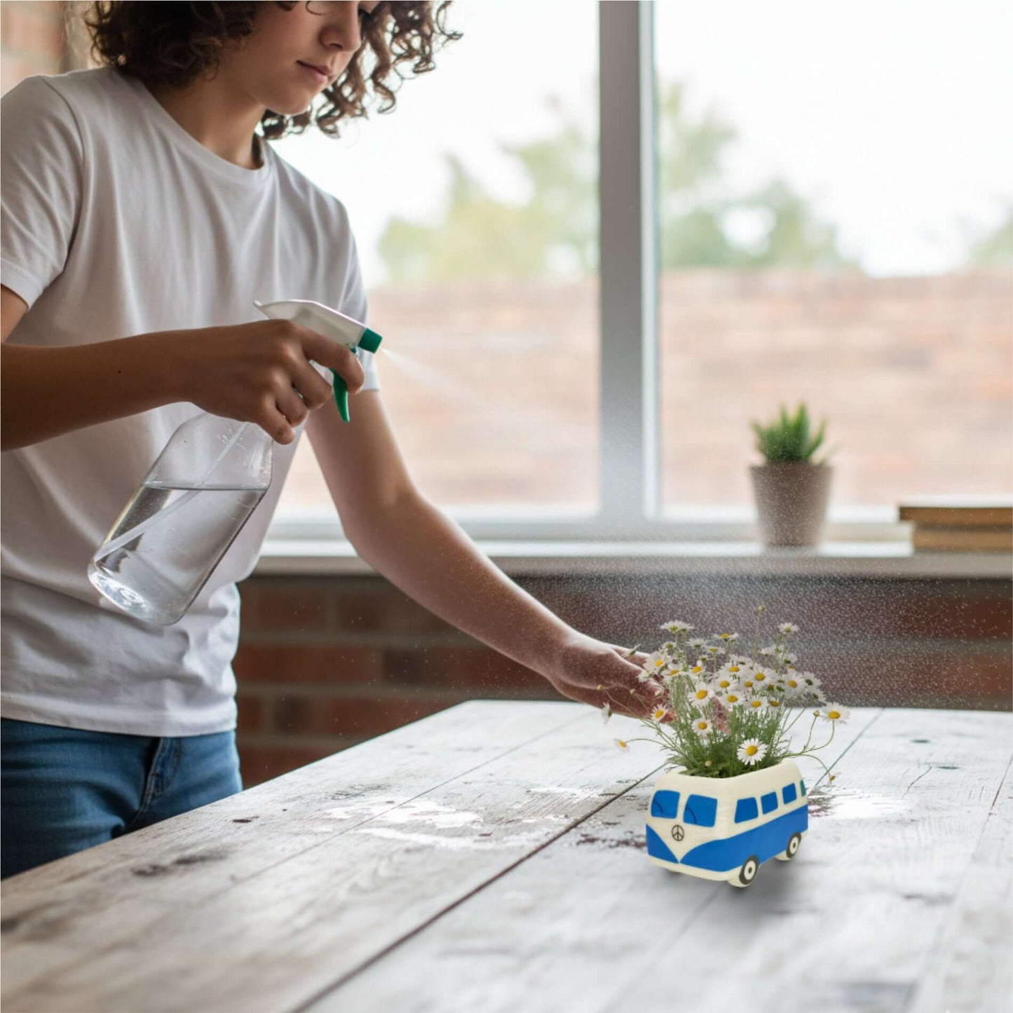 Pâquerettes dans le kit mini prét a pousser van en céramique