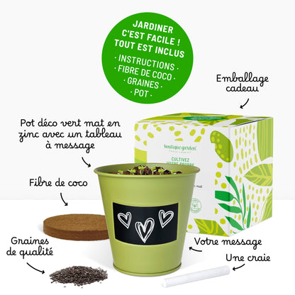 Kit prêt à pousser plante d'intérieur fougère, pot en zinc vert avec tableau noir et craie