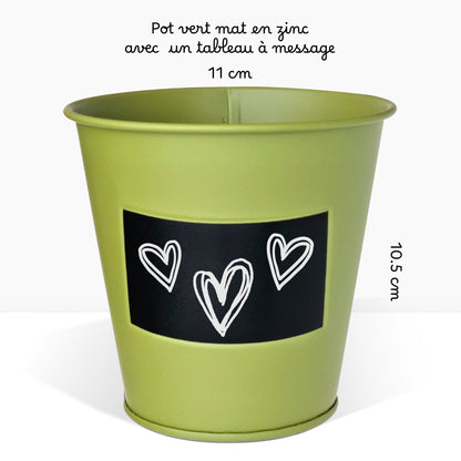 Kit prêt à pousser plante d'intérieur fougère, pot en zinc vert avec tableau noir et craie
