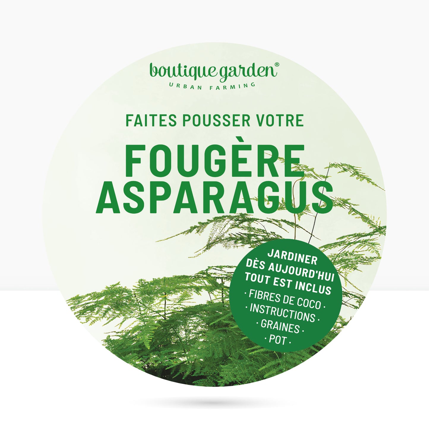 Kit prêt à pousser plante d'intérieur fougère, pot en zinc vert avec tableau noir et craie
