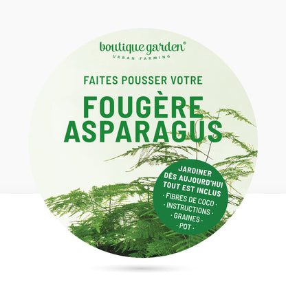 Kit prêt à pousser plante d'intérieur fougère, pot en zinc vert avec tableau noir et craie