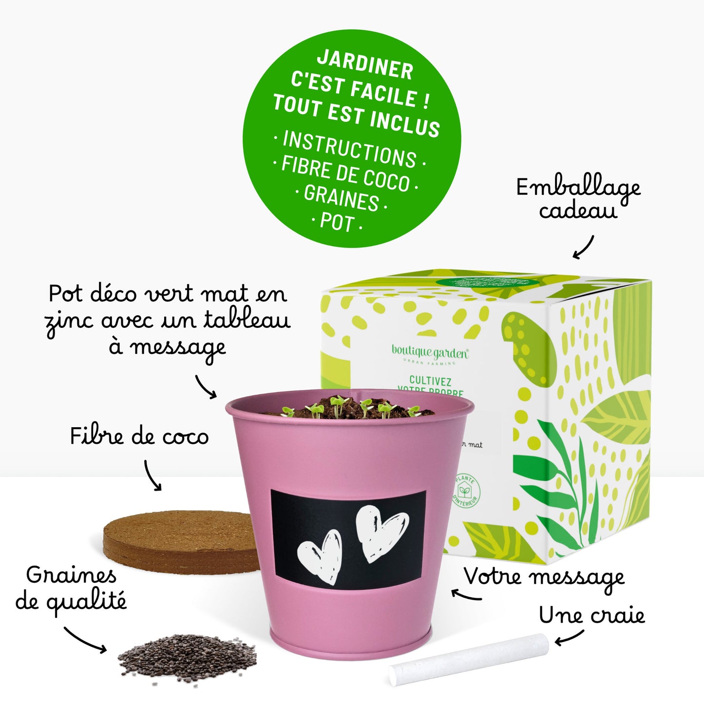 Kit prêt à pousser plante d'intérieur palmier, pot en zinc violet avec tableau noir et craie