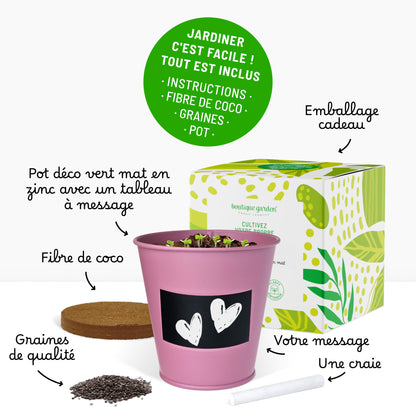 Kit prêt à pousser plante d'intérieur palmier, pot en zinc violet avec tableau noir et craie