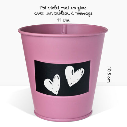 Kit prêt à pousser plante d'intérieur palmier, pot en zinc violet avec tableau noir et craie