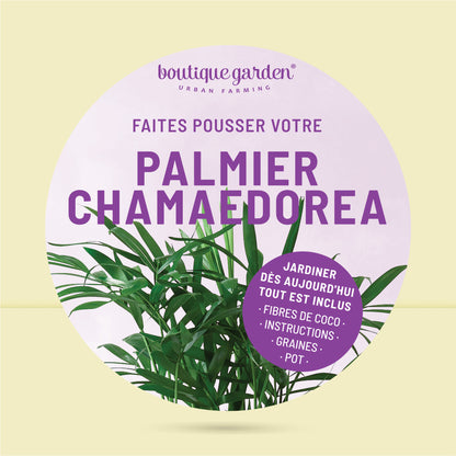 Pot prêt à pousser plante d'intérieur palmier, pot en zinc violet avec tableau noir et craie