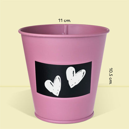 Pot prêt à pousser plante d'intérieur palmier, pot en zinc violet avec tableau noir et craie