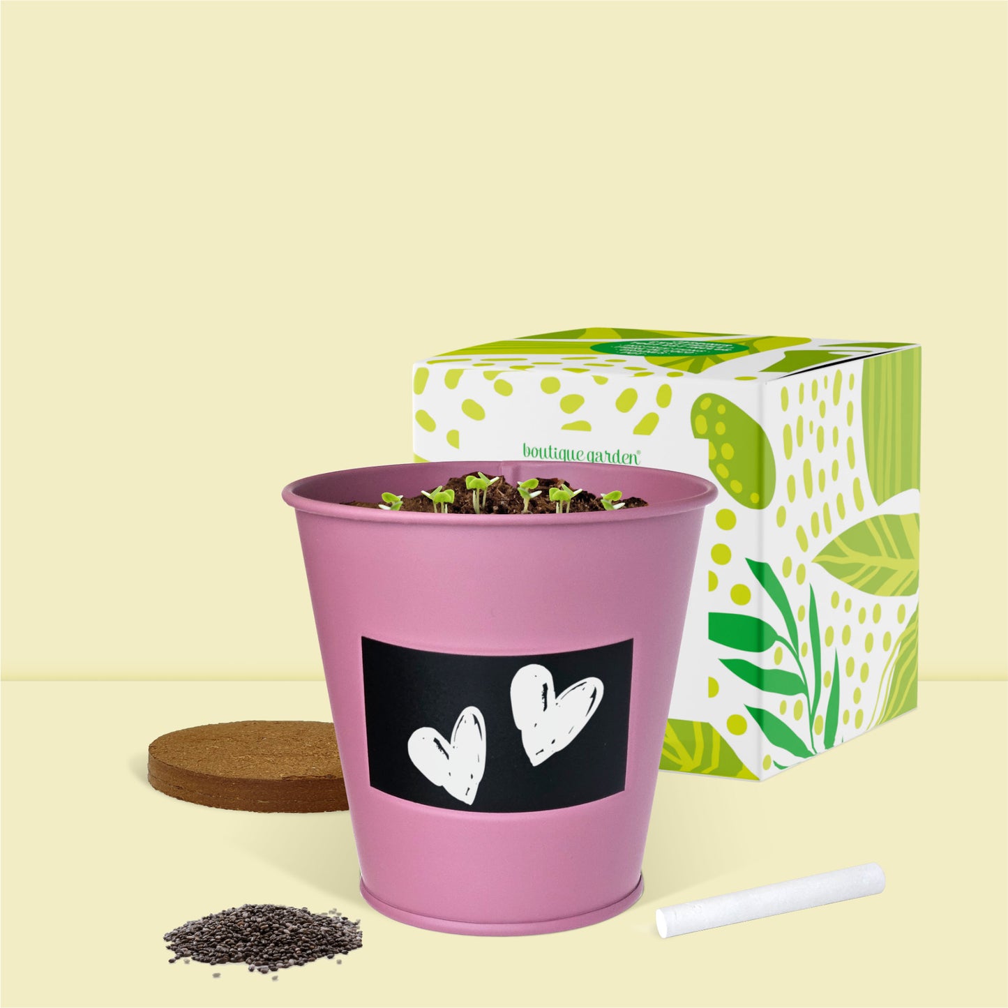 Pot prêt à pousser plante d'intérieur palmier, pot en zinc violet avec tableau noir et craie