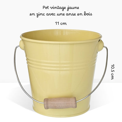 Kit prêt à pousser coquelicot, pot en zinc jaune