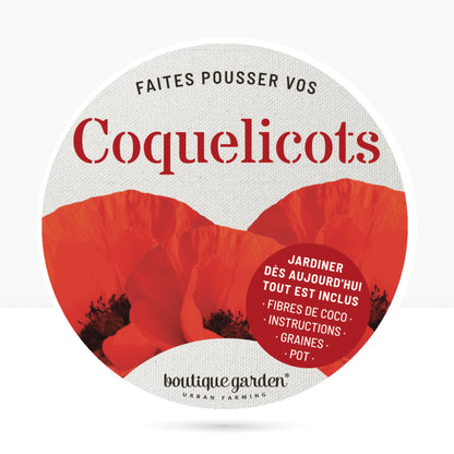 Kit prêt à pousser coquelicot, pot en zinc jaune